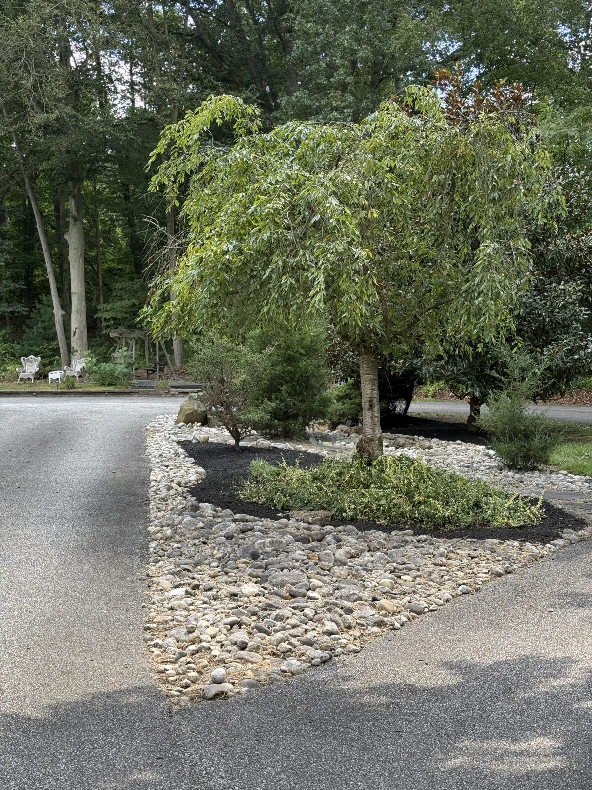 Oasis Estate outdoor — vacation rental in Mantua NJ