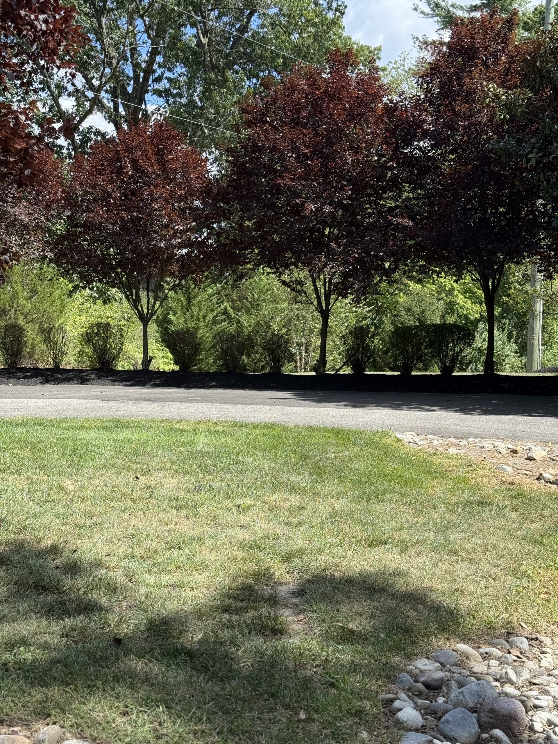 Oasis Estate outdoor — vacation rental in Mantua NJ