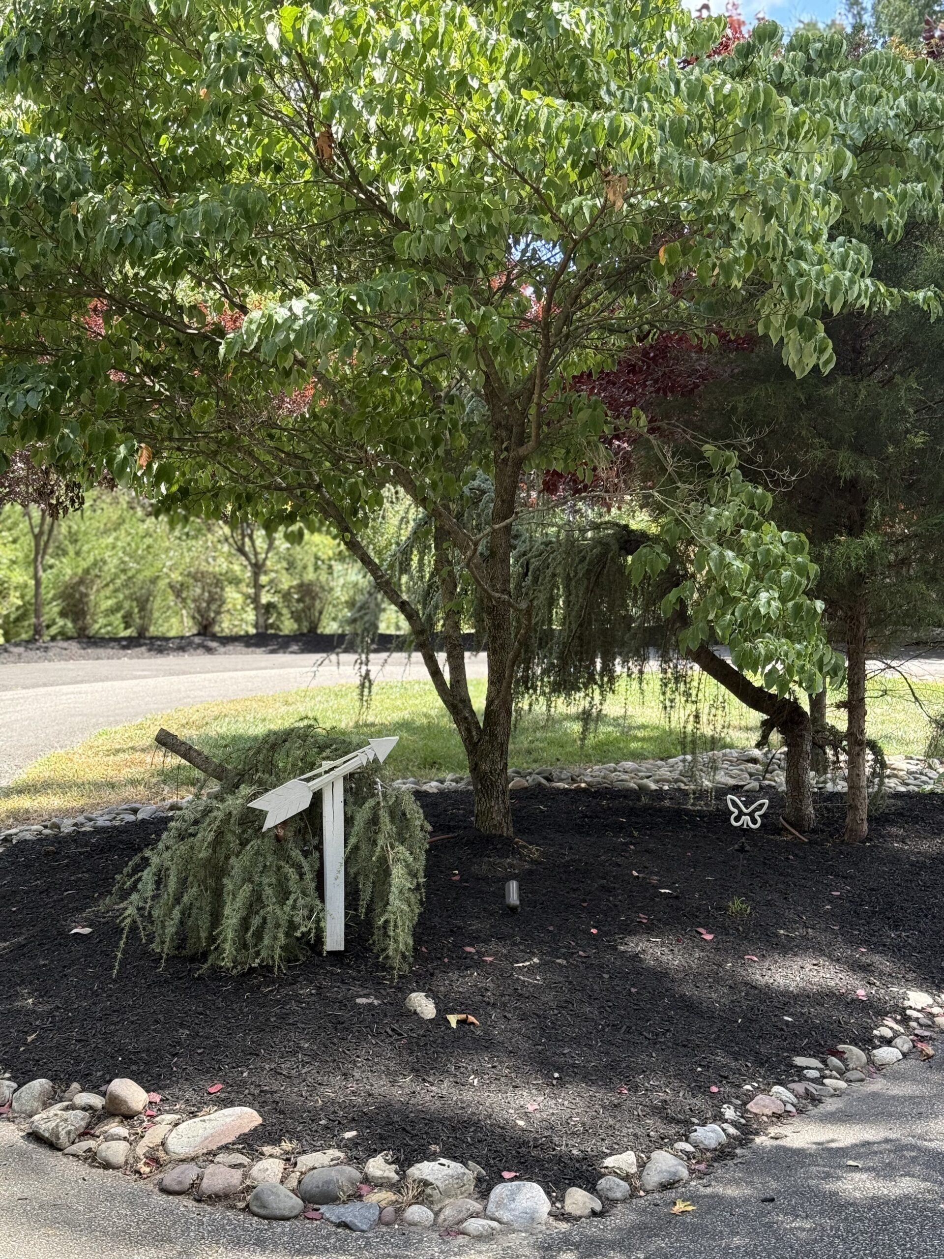 Oasis Estate outdoor — vacation rental in Mantua NJ