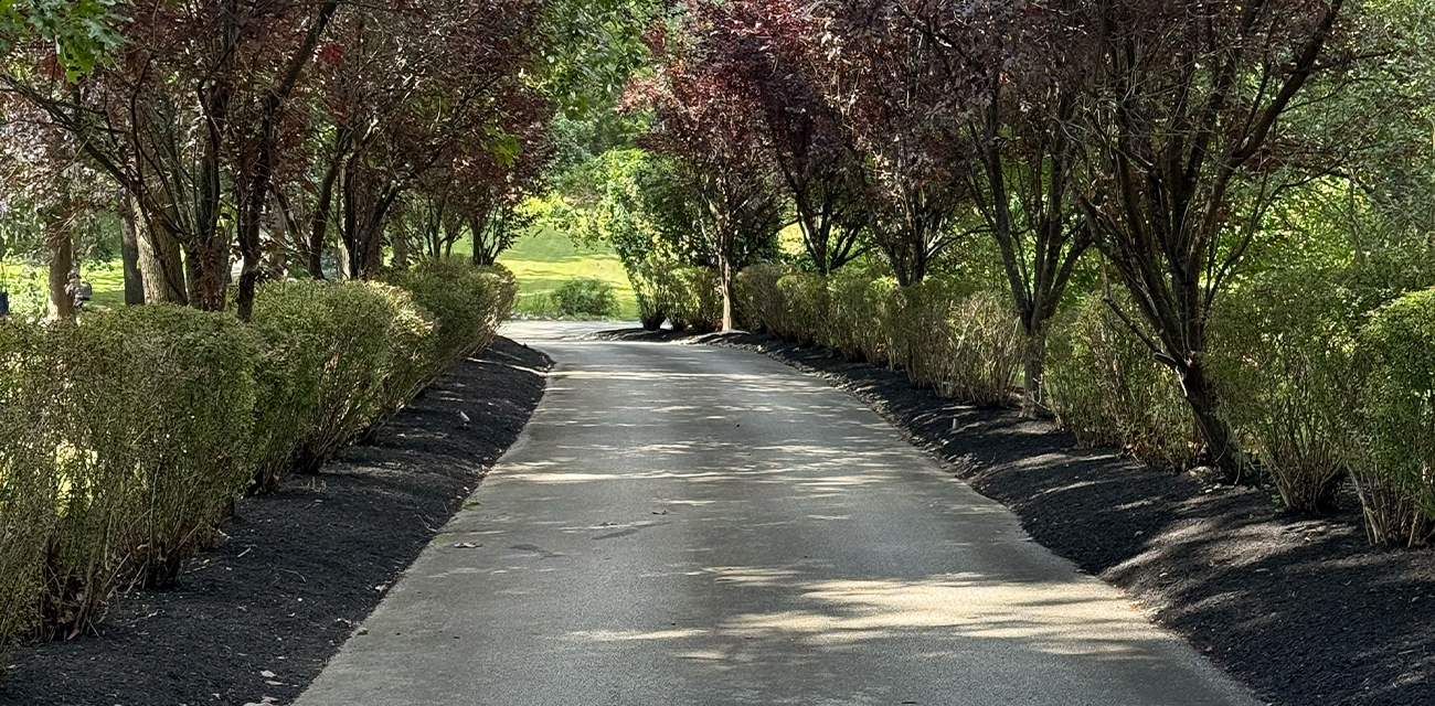 Oasis Estate — vacation rental in Mantua NJ